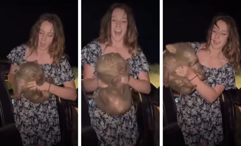 Sam Jones, Wombat-Grabbing Influencer, Kicked Out of Australia!